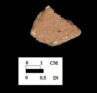 Wolfe Neck body sherd from Conowingo site 18CE14/161.